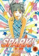 SPARK火花